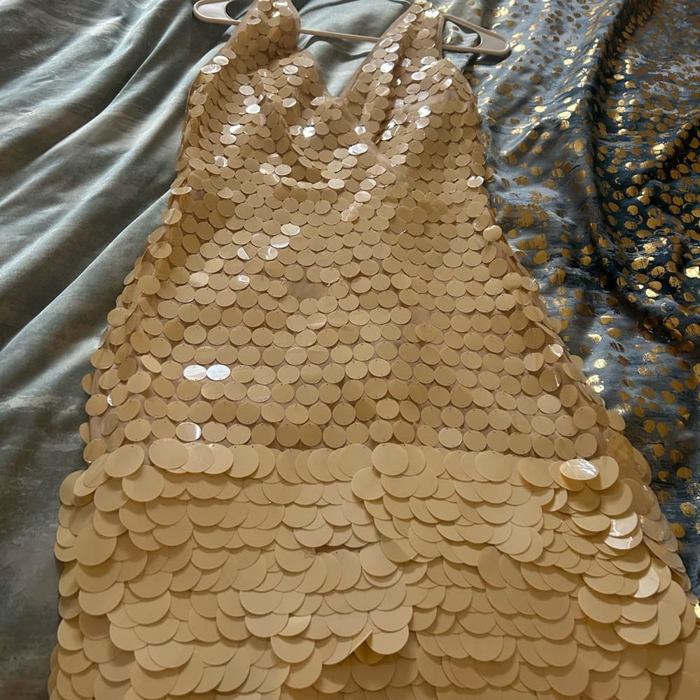 Bcbg maxazaria dress